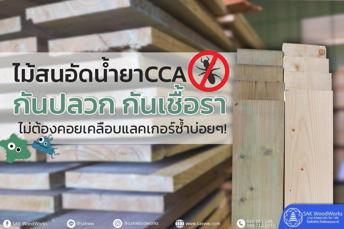 ไม้อบน้ำยา,ไม้สนอบน้ำยา,กันปลวก,กันมอด,กันเชื้อรา,CCA